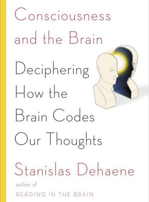 Consciousness and the Brain