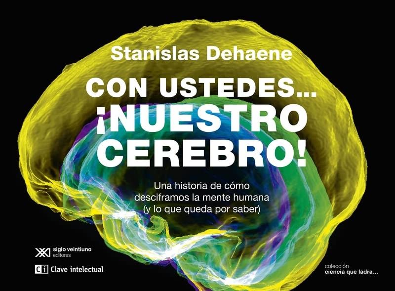 Con ustedes… ¡Nuestro cerebro!