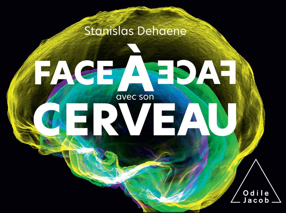 Face à face avec son cerveau