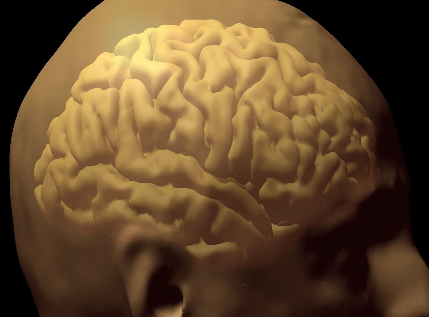 Reconstruction 3D du cerveau de Stanislas Dehaene à partir de son IRM / 3D reconstruction of Stanislas Dehaene's brain from his MRI